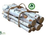 White Birch Logs Lowes White Birch Gas Fireplace Logs All Gas Logs Paykel