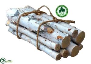 White Birch Logs Lowes White Birch Gas Fireplace Logs All Gas Logs Paykel