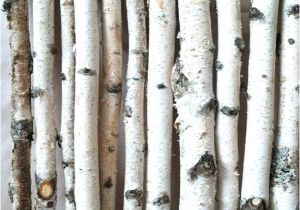 White Birch Logs Lowes White Birch Wood Logs Decorative White Birch Logs Birch