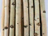 White Birch Logs Lowes White Birch Wood Logs Decorative White Birch Logs Birch