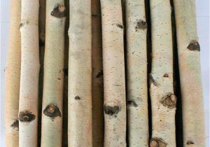 White Birch Logs Lowes White Birch Wood Logs Decorative White Birch Logs Birch