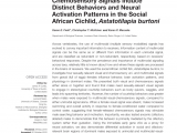 White Light Night Baton Rouge November 2019 Pdf Subdivisions Of the Adult Zebrafish Subpallium by Molecular