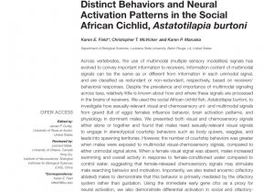 White Light Night Baton Rouge November 2019 Pdf Subdivisions Of the Adult Zebrafish Subpallium by Molecular