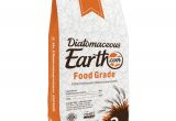 Who Buys Used Appliances In Gainesville Fl Amazon Com Diatomaceous Earth 2 Lbs Food Grade De Includes Free