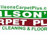 Wilson Carpet Cleaning Summerville Sc Wilson 39 S Carpet Plus Summerville Sc 29483 800 968 7953