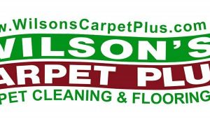 Wilson Carpet Cleaning Summerville Sc Wilson 39 S Carpet Plus Summerville Sc 29483 800 968 7953