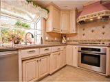 Wine and Grapes Kitchen theme Wine themed Kitchen with Wine Cooler and Grape Tile Details