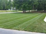 Winning Colors Grass Seed Sharpe 39 S Lawn Equipment Holganix Really Works Our