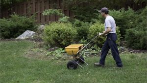 Winterizer Fertilizer when to Apply Fertilizing Your Garden or Lawn In Late Fall