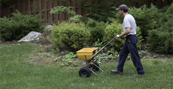 Winterizer Fertilizer when to Apply Fertilizing Your Garden or Lawn In Late Fall