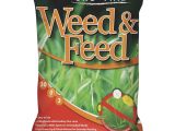 Winterizer Fertilizer when to Apply Gro Fine Weed Feed Lawn Fertilizer with Weed Killer Gf23339 Do