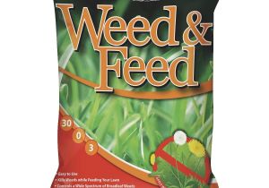 Winterizer Fertilizer when to Apply Gro Fine Weed Feed Lawn Fertilizer with Weed Killer Gf23339 Do