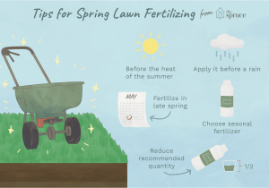 Winterizer Fertilizer when to Apply when to Fertilize the Lawn In Spring