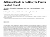 Wobble Chair for Spondylolisthesis Pdf the Effects Of Stability Ball Training On Spinal Stability In