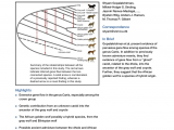 Wolf Oven Repair Los Angeles Pdf whole Genome Sequence Analysis Shows that Two Endemic Species