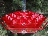 World S Best Hummingbird Feeder Best Himmingbird Feeder We Have Ever Had Jz Lil Sweety