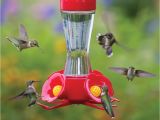 World S Best Hummingbird Feeder Duncraft Com Best Selling Four Flower Frolic Hummingbird