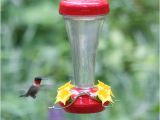 World S Best Hummingbird Feeder Perky Pet aster top Fill Push Pull Hummingbird Feeder