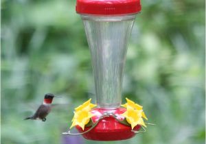 World S Best Hummingbird Feeder Perky Pet aster top Fill Push Pull Hummingbird Feeder