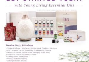 Young Living Catalog 2019 Amanda Hidrogo Ahidrogo Instagram Profile Picdeer