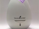 Young Living Catalog 2019 Amazon Com Young Living Rose Shaped Home Diffuser Purple Health