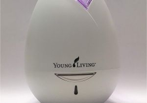 Young Living Catalog 2019 Amazon Com Young Living Rose Shaped Home Diffuser Purple Health