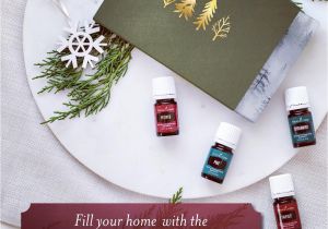 Young Living Catalog 2019 Holiday Betterstartnow Hash Tags Deskgram