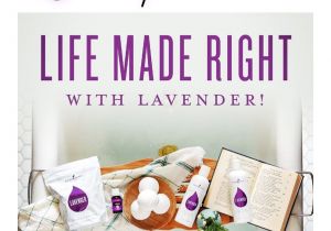 Young Living Catalog 2019 Holiday Younglivingmomma Hash Tags Deskgram