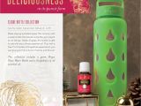 Young Living Holiday Catalog 2019 2016 Christmas Catalogue by Young Living Essential Oils Australia