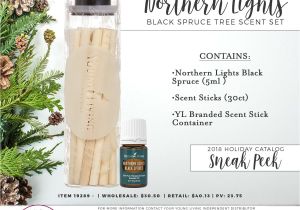 Young Living Holiday Catalog 2019 Kadams Eoilivinghealth Twitter