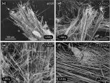 Zonolite attic Insulation Trust Fund Characterizing the source Of Potentially asbestos Bearing Commercial